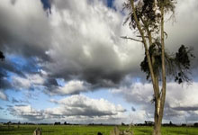 切尔西热身赛中奋勇争先，猛揽五连胜