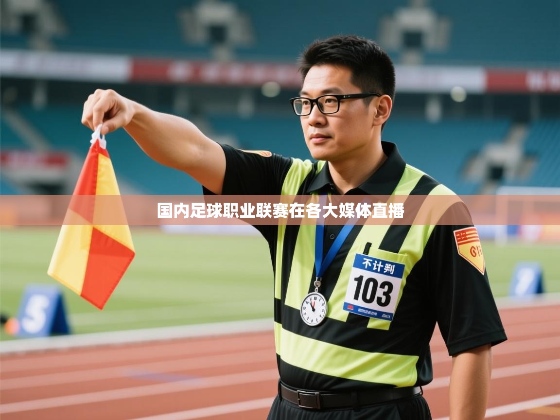 国内足球职业联赛在各大媒体直播  第2张