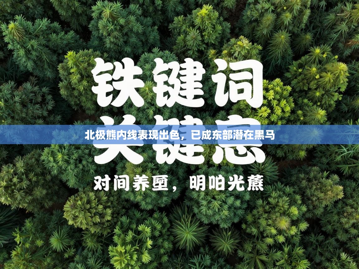 北极熊内线表现出色，已成东部潜在黑马